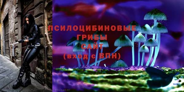 дживик Алексеевка