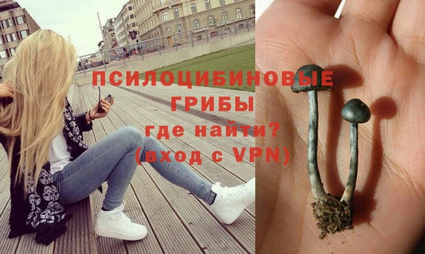 марихуана Абаза